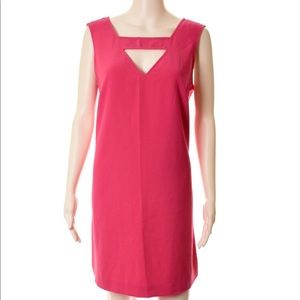 Banana Republic pink dress